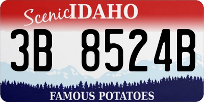 ID license plate 3B8524B