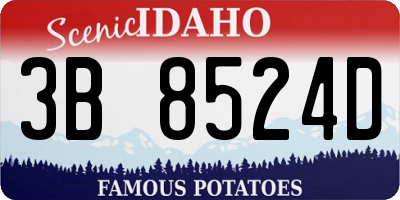 ID license plate 3B8524D