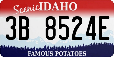 ID license plate 3B8524E
