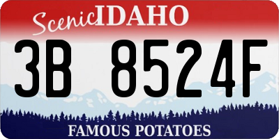 ID license plate 3B8524F