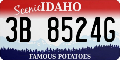 ID license plate 3B8524G