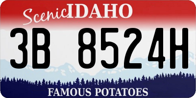 ID license plate 3B8524H