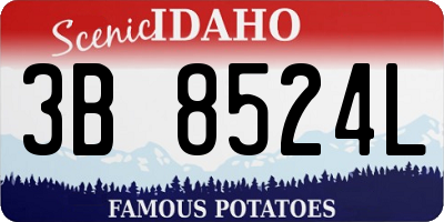 ID license plate 3B8524L