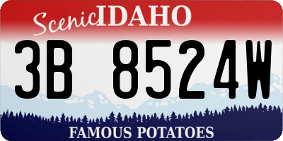 ID license plate 3B8524W