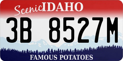ID license plate 3B8527M