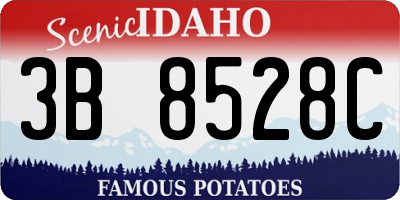ID license plate 3B8528C