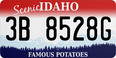 ID license plate 3B8528G