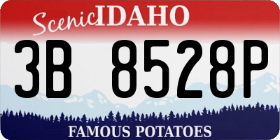 ID license plate 3B8528P