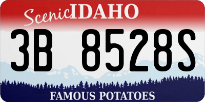 ID license plate 3B8528S