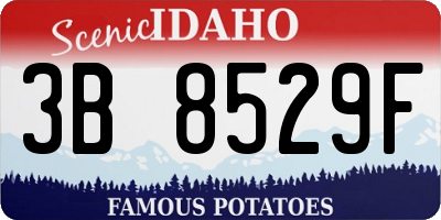 ID license plate 3B8529F