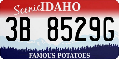 ID license plate 3B8529G