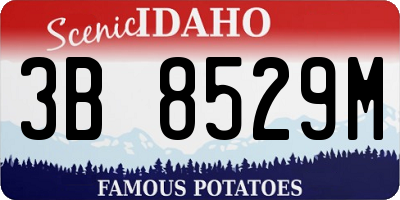 ID license plate 3B8529M