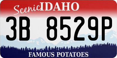 ID license plate 3B8529P