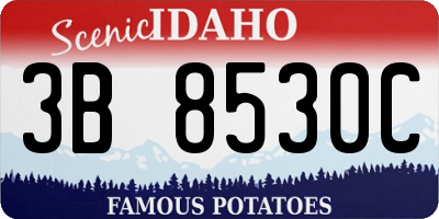ID license plate 3B8530C