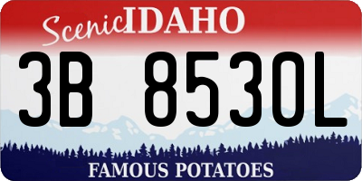 ID license plate 3B8530L