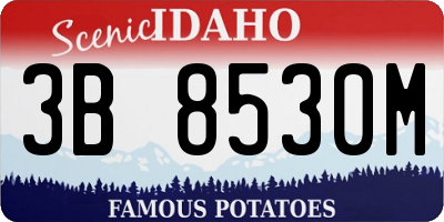 ID license plate 3B8530M