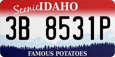 ID license plate 3B8531P