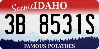 ID license plate 3B8531S
