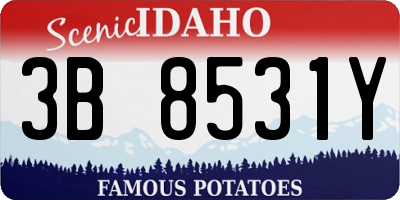 ID license plate 3B8531Y