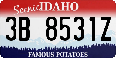ID license plate 3B8531Z