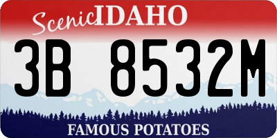 ID license plate 3B8532M