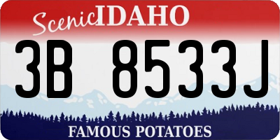 ID license plate 3B8533J