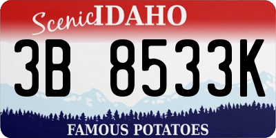 ID license plate 3B8533K