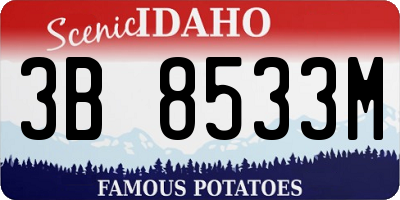 ID license plate 3B8533M
