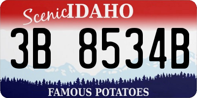 ID license plate 3B8534B