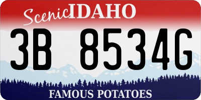 ID license plate 3B8534G