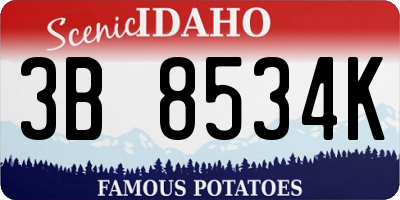 ID license plate 3B8534K