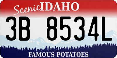 ID license plate 3B8534L