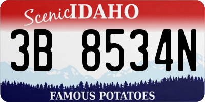 ID license plate 3B8534N