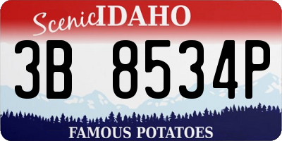 ID license plate 3B8534P