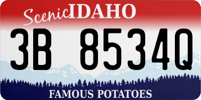 ID license plate 3B8534Q