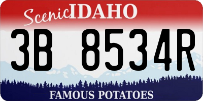 ID license plate 3B8534R