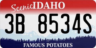 ID license plate 3B8534S