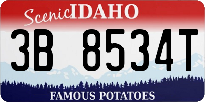 ID license plate 3B8534T