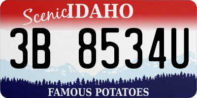 ID license plate 3B8534U