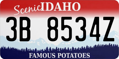 ID license plate 3B8534Z