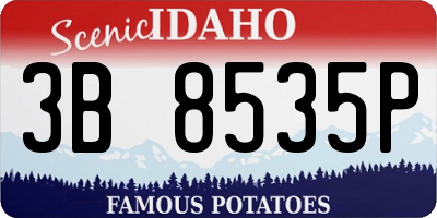 ID license plate 3B8535P