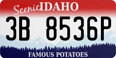 ID license plate 3B8536P