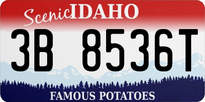 ID license plate 3B8536T