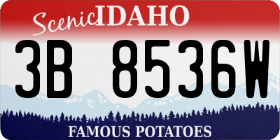 ID license plate 3B8536W