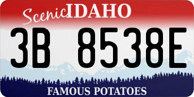 ID license plate 3B8538E