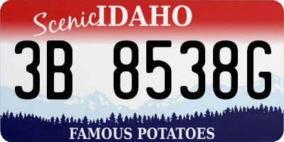 ID license plate 3B8538G
