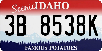 ID license plate 3B8538K