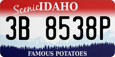 ID license plate 3B8538P