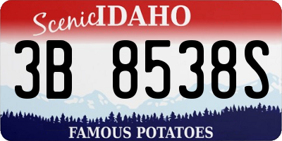 ID license plate 3B8538S