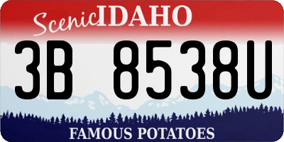 ID license plate 3B8538U